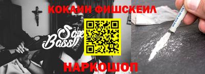 крисы Сланцы